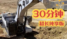 大型挖掘机视频,现场实况视频深度解析